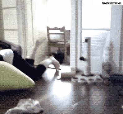 REMBOBINEZ S'IL VOUS PLAIT