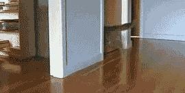 REMBOBINEZ S'IL VOUS PLAIT