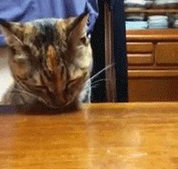 REMBOBINEZ S'IL VOUS PLAIT