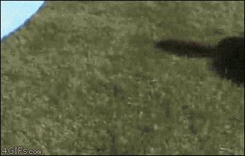 REMBOBINEZ S'IL VOUS PLAIT