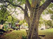 balbutiemement l’automne Touraine (37)