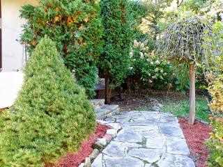 Enfin un nouvel article !!