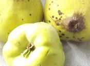 Compote coings vanillée