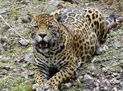 photo jour septembre