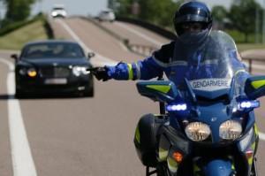 permis buzz insolite