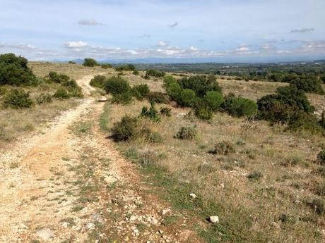 Marcher à deux pas de chez moi...