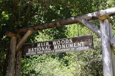 SF Muir Woods Park