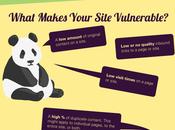 Infographie Comment apprivoiser Panda