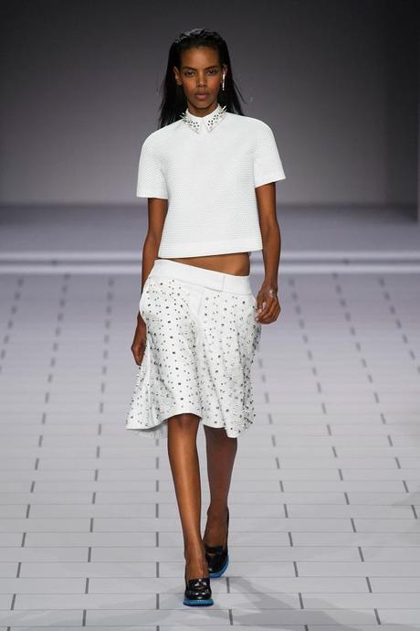 Fashion Week Spring 2014 Paris