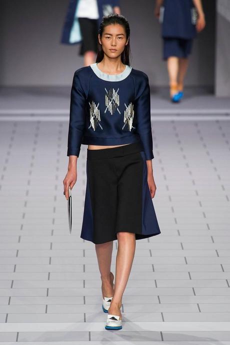 Fashion Week Spring 2014 Paris