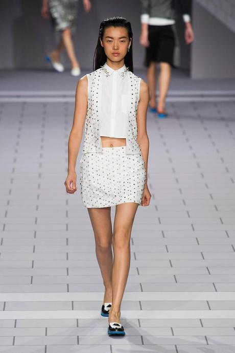 Fashion Week Spring 2014 Paris