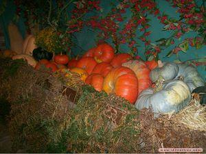 fete-de-la-citrouille-musee-ferme-de-7909112247