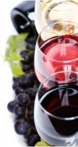 SCLÉROSE en plaques: Pourquoi il vaut mieux éviter le vin – The American Journal of Pathology