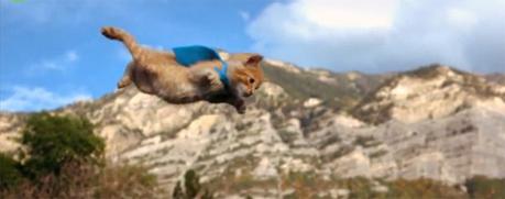 Découvrez la compil Win du mois d’octobre