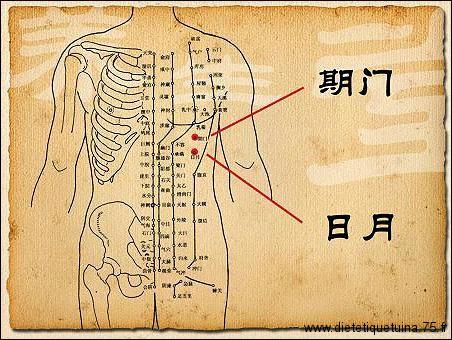 24ème point d'acupuncture du méridien de la vésicule biliaire