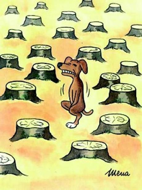 Les dessins de la semaine