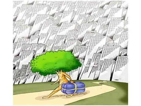 Les dessins de la semaine