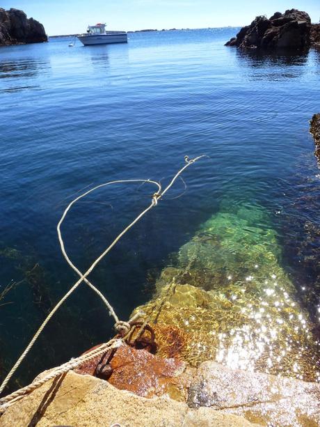 légèrement regardant