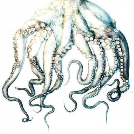 short-ou-bermuda-homme-chemises-a-capuche-skinny-et-slim-pull-sweat