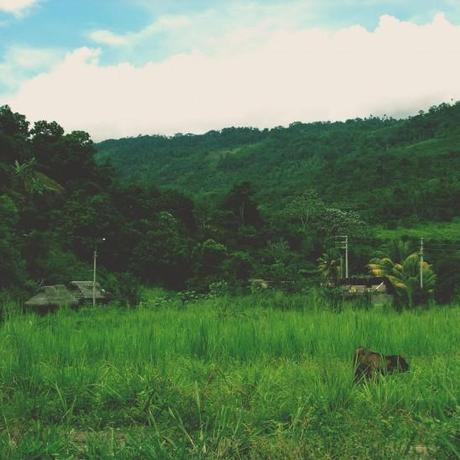 short-bermuda-homme-chemise-vetements-marque-magasin-vetement-polo-t-shirt