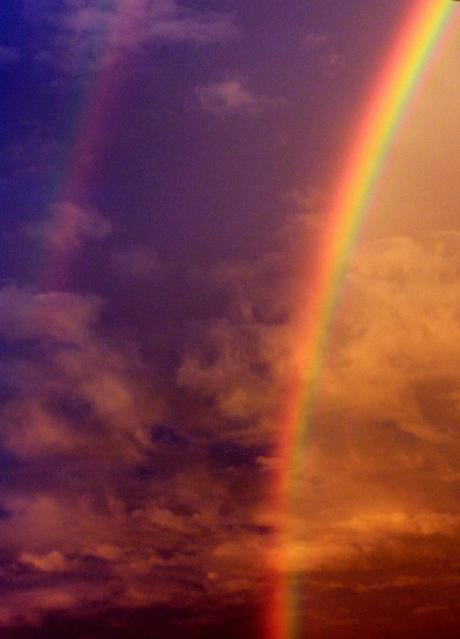 Le noir absorbe toutes les couleurs