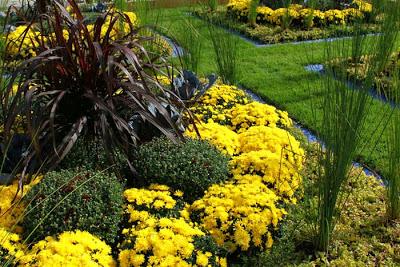 Charles III vs Stanislas