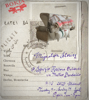 Fauteuil migrateur...!