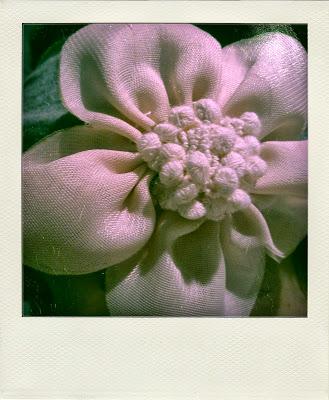 LOOK DU JOUR: PARTY TIME...PAR HAYLEY