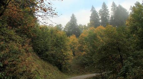 Pointe de Chaurionde (Bauges)