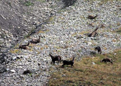 Pointe de Chaurionde (Bauges)