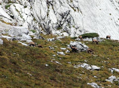 Pointe de Chaurionde (Bauges)