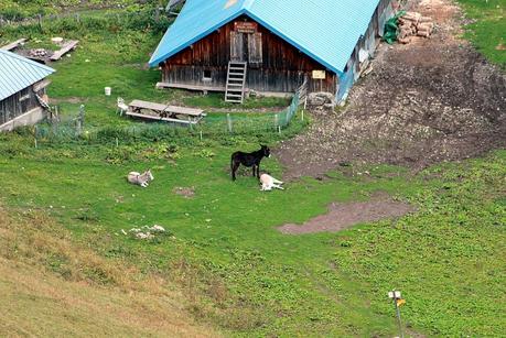 Pointe de Chaurionde (Bauges)