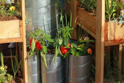 10èmes jardins éphémères place Stan'