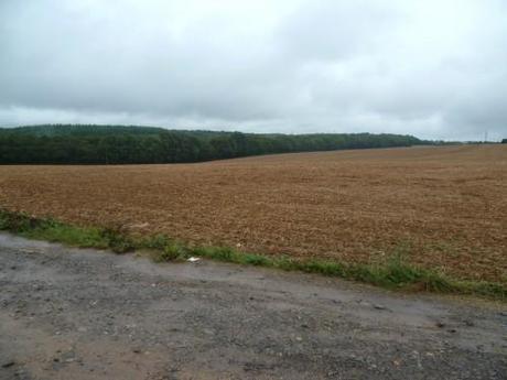 histoire,guerre 14-18,région,vacances,lorraine,tourisme