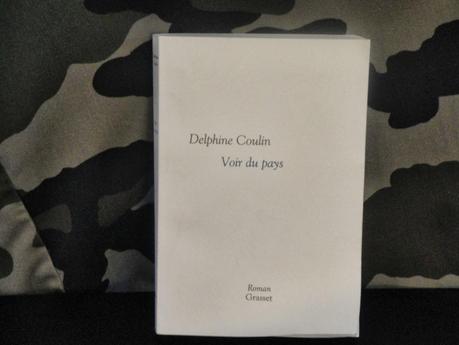 Voir du pays, un ouvrage de Delphine Coulin pour comprendre les troubles comportementaux de guerre
