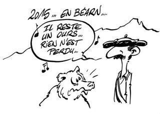 2015 en Béarn, il reste un ours, rien n'est perdu!