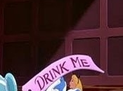 fond terrier Créer livre secrets