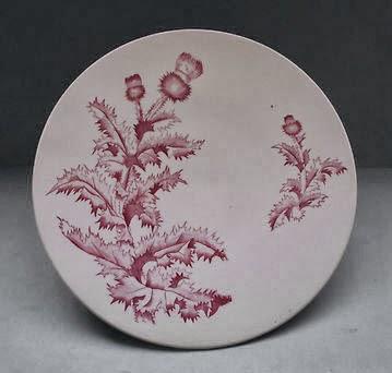 Qui s'y frotte s'y pique - chardon lorrain (314)