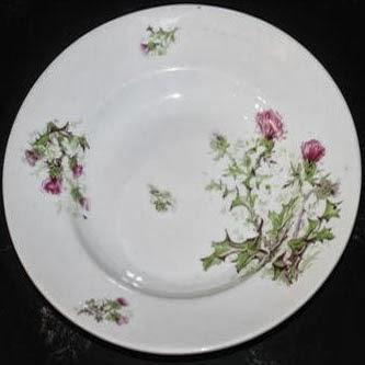 Qui s'y frotte s'y pique - chardon lorrain (314)