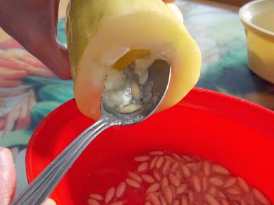 Concombre : comment faire ses propres graines