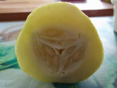 Concombre : comment faire ses propres graines