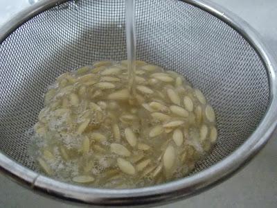 Concombre : comment faire ses propres graines