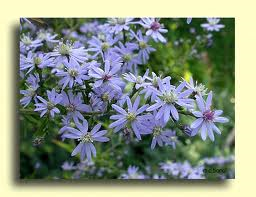 Me revoilà ... Je voudrai tout d'abord vous remercier pou...