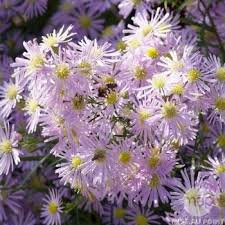 Me revoilà ... Je voudrai tout d'abord vous remercier pou...