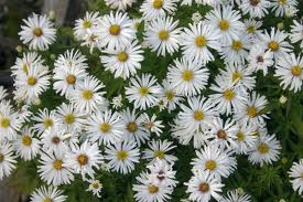 Me revoilà ... Je voudrai tout d'abord vous remercier pou...