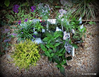 Me revoilà ... Je voudrai tout d'abord vous remercier pou...