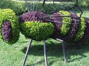 Mosaïcultures Montréal 2013-Canada