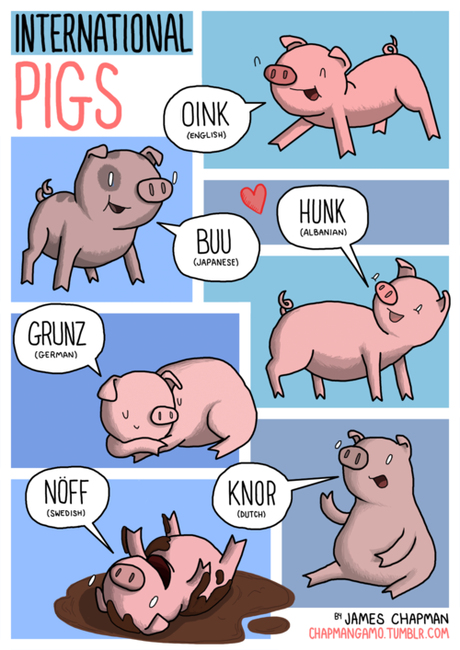international pigs