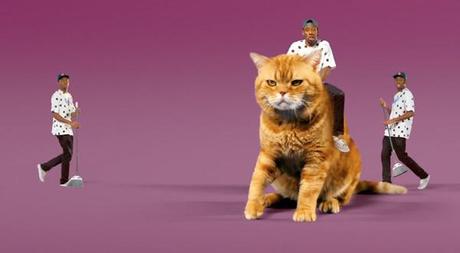 tyler the creator tamale