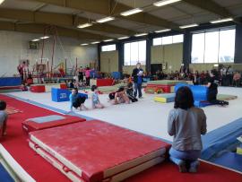 TEST MANIQUES CLUB 2013 AGM